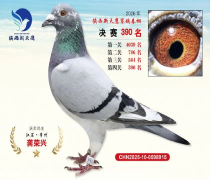 陕西新天鹰决赛390名