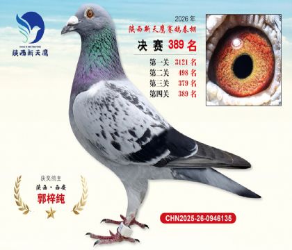 陕西新天鹰决赛389名