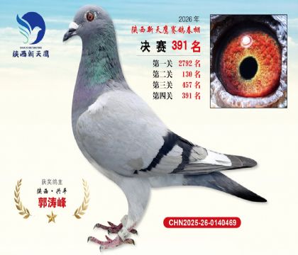 陕西新天鹰决赛391名