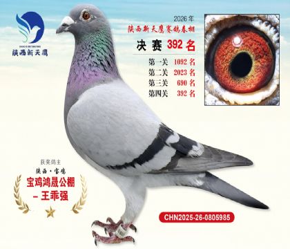 陕西新天鹰决赛392名