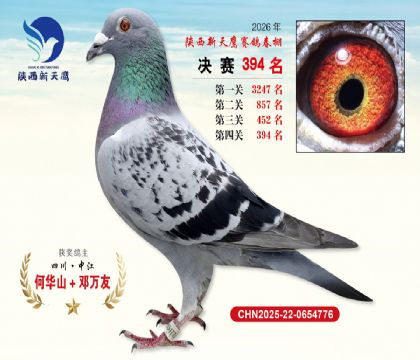 陕西新天鹰决赛394名