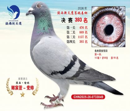 陕西新天鹰决赛393名