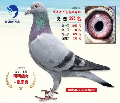 陕西新天鹰决赛395名