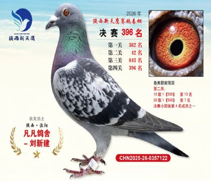 陕西新天鹰决赛396名