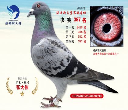 陕西新天鹰决赛397名