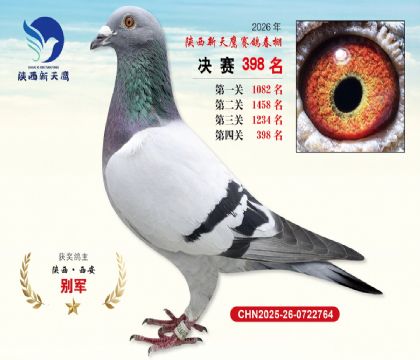陕西新天鹰决赛398名
