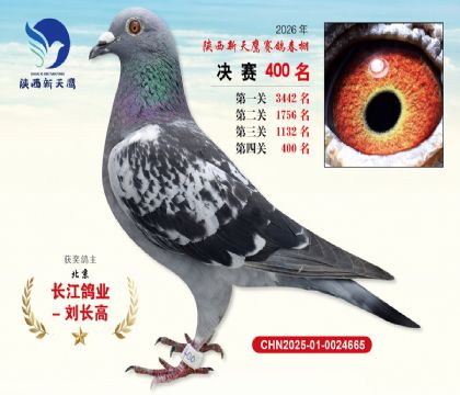陕西新天鹰决赛400名