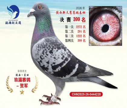 陕西新天鹰决赛399名