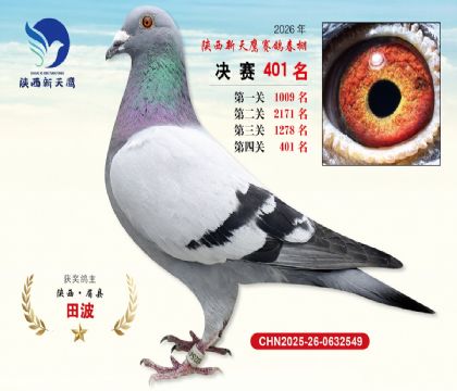 陕西新天鹰决赛401名