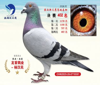 陕西新天鹰决赛402名