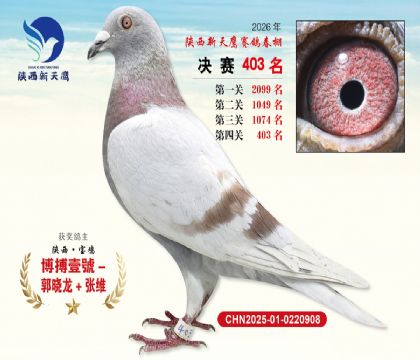 陕西新天鹰决赛403名