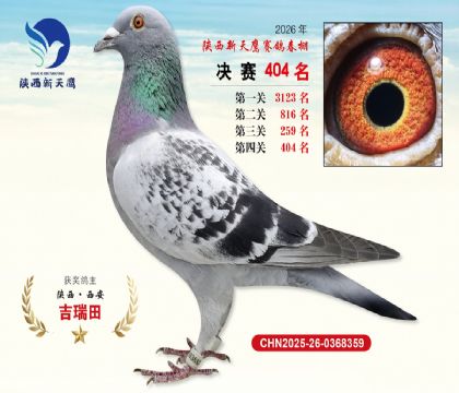 陕西新天鹰决赛404名