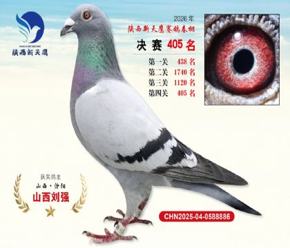 陕西新天鹰决赛405名