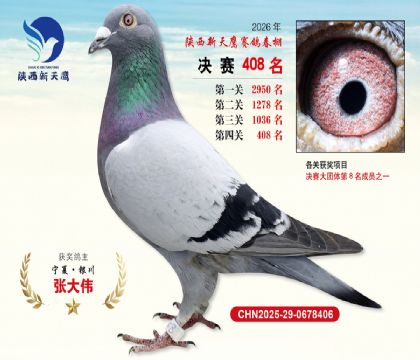 陕西新天鹰决赛408名