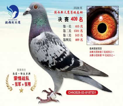 陕西新天鹰决赛409名