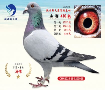 陕西新天鹰决赛410名