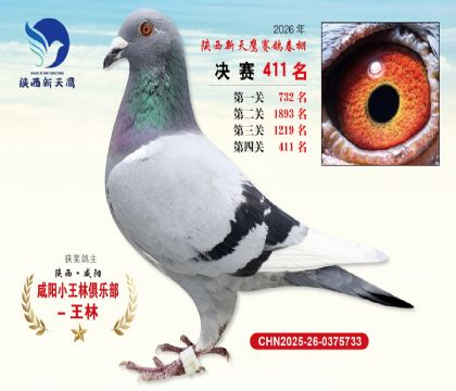 陕西新天鹰决赛411名