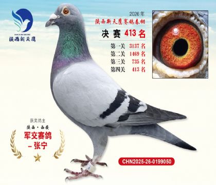 陕西新天鹰决赛413名