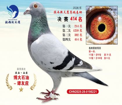 陕西新天鹰决赛414名