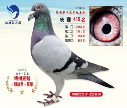 陕西新天鹰决赛415名
