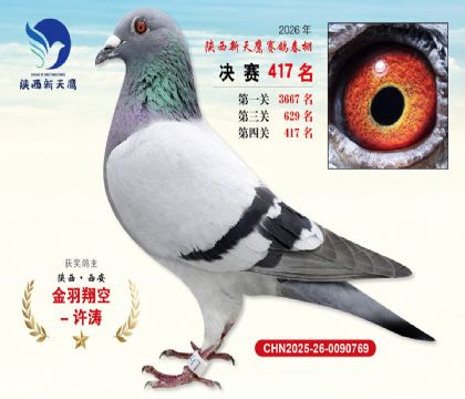 陕西新天鹰决赛417名