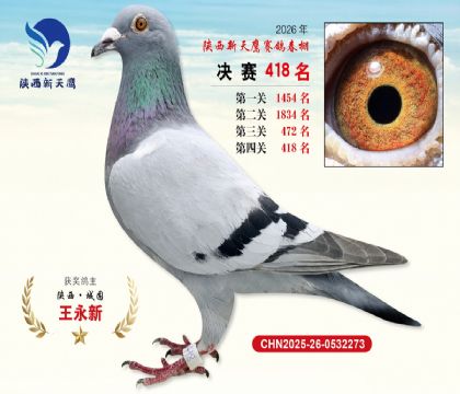 陕西新天鹰决赛418名