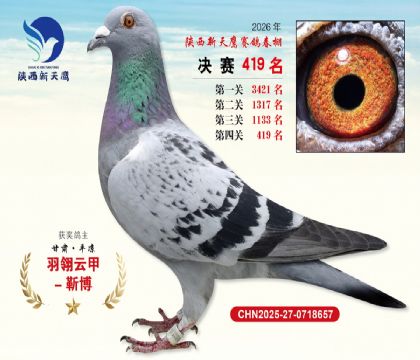 陕西新天鹰决赛419名