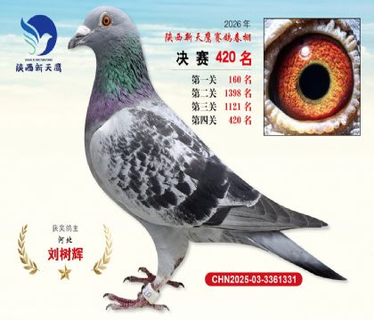 陕西新天鹰决赛420名
