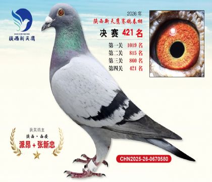 陕西新天鹰决赛421名