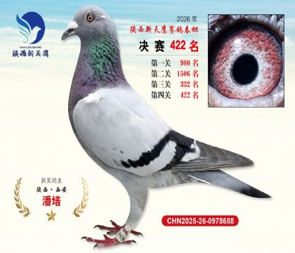 陕西新天鹰决赛422名