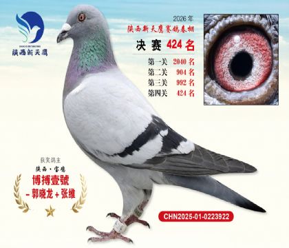 陕西新天鹰决赛424名