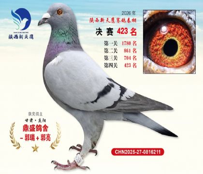 陕西新天鹰决赛423名