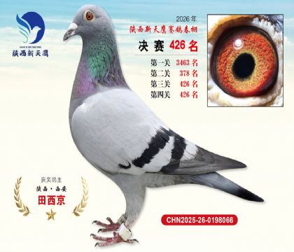 陕西新天鹰决赛426名