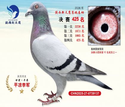 陕西新天鹰决赛425名