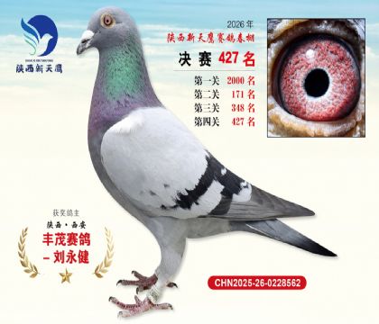 陕西新天鹰决赛427名