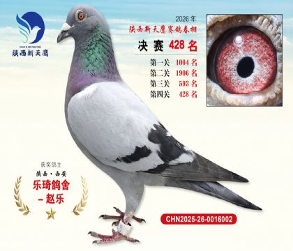 陕西新天鹰决赛428名