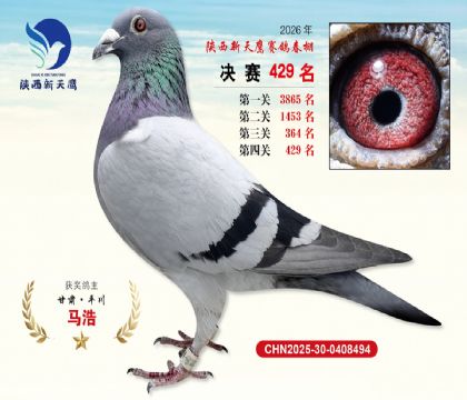 陕西新天鹰决赛429名