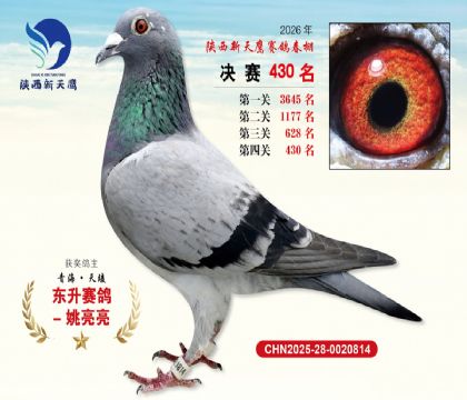 陕西新天鹰决赛430名