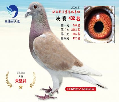 陕西新天鹰决赛432名