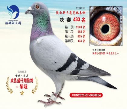 陕西新天鹰决赛433名