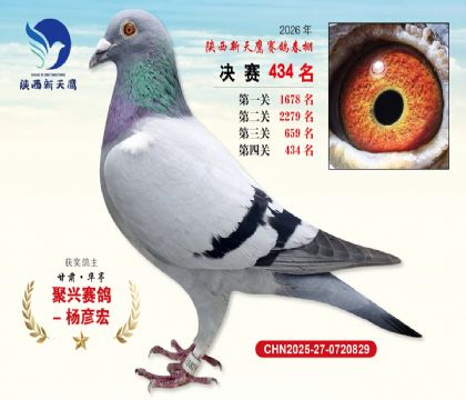 陕西新天鹰决赛434名