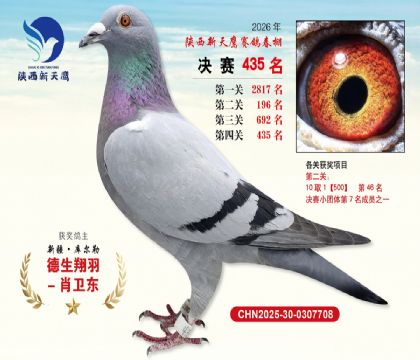陕西新天鹰决赛435名