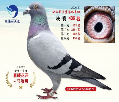陕西新天鹰决赛436名