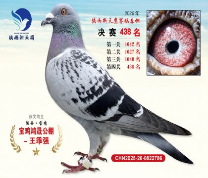 陕西新天鹰决赛438名
