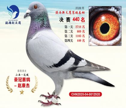 陕西新天鹰决赛440名