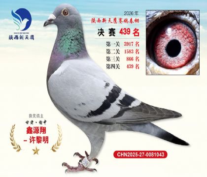 陕西新天鹰决赛439名