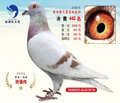 陕西新天鹰决赛442名