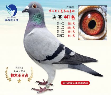 陕西新天鹰决赛441名
