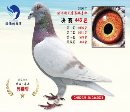 陕西新天鹰决赛443名