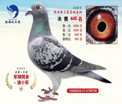 陕西新天鹰决赛445名